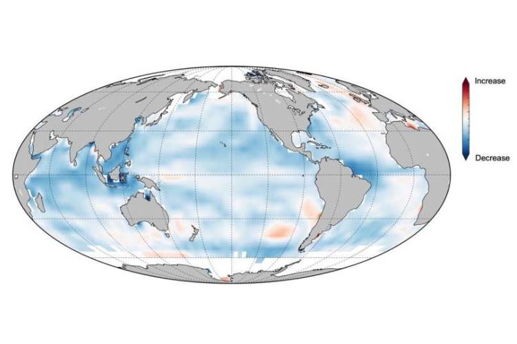 มหาสมุทรของโลกกำลังสูญเสียความทรงจำภายใต้ภาวะโลกร้อน