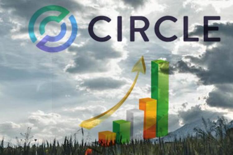 ปัจจุบัน Circle ถือประมาณ 31% ของส่วนแบ่งตลาดทั้งหมดสำหรับ Stablecoins ลดลงจาก 37% เมื่อหกเดือนก่อน